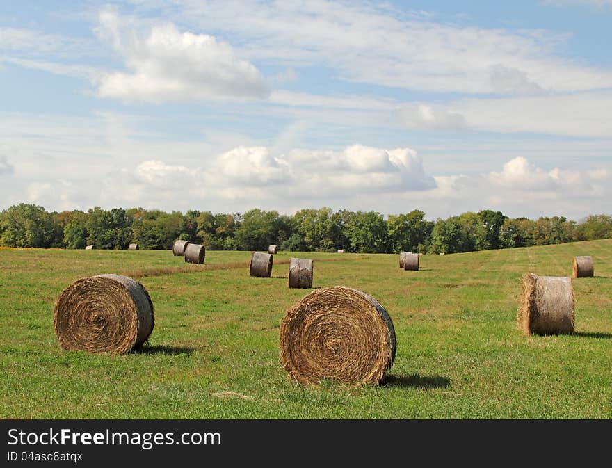 Hay Bales