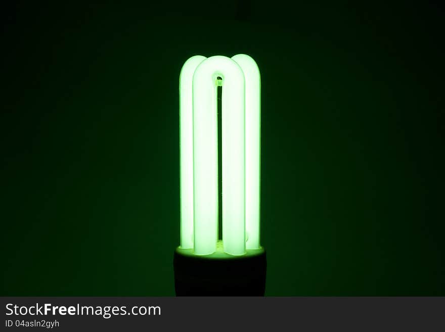 Compact Fluorescent Portable retouch green light for global worming