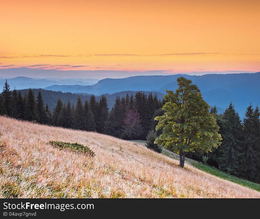 Landscape in the mountains with a sunset. Ukraine, the Carpathian mountains. Landscape in the mountains with a sunset. Ukraine, the Carpathian mountains