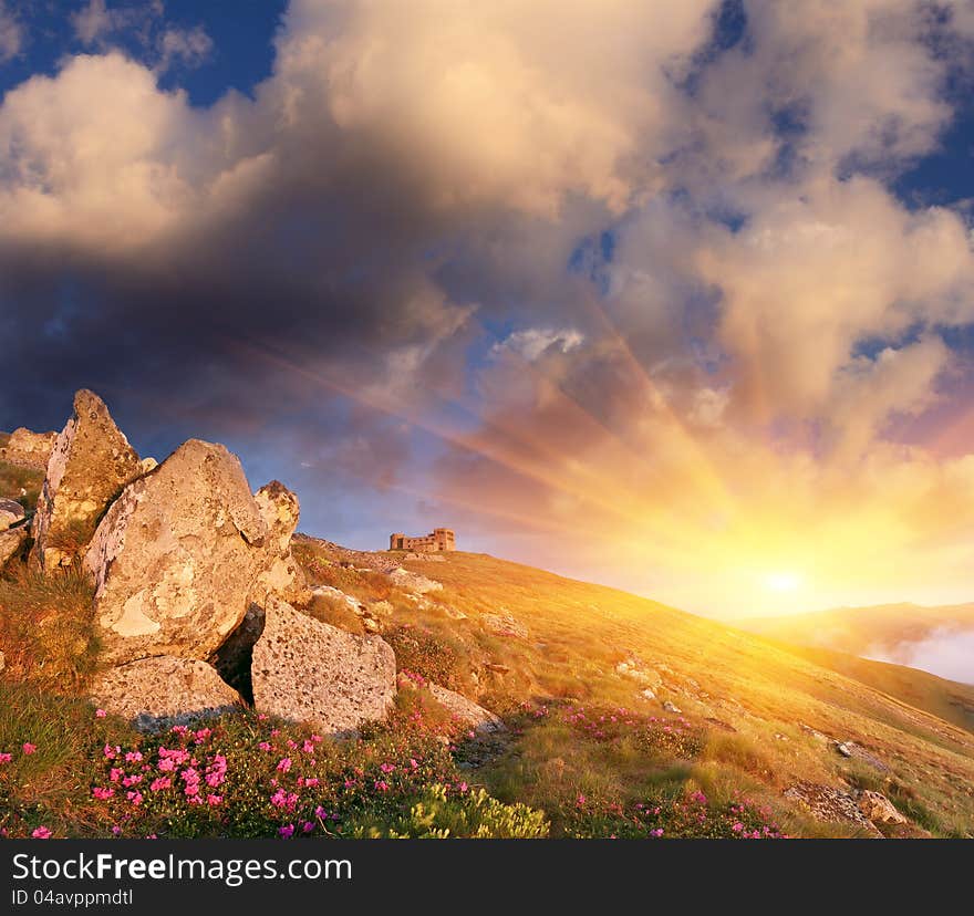 Morning in the mountains and rhododendron flowers. Ukraine, the Carpathians, the mountain of Pop Ivan and the ruins of the old observatory. Morning in the mountains and rhododendron flowers. Ukraine, the Carpathians, the mountain of Pop Ivan and the ruins of the old observatory.