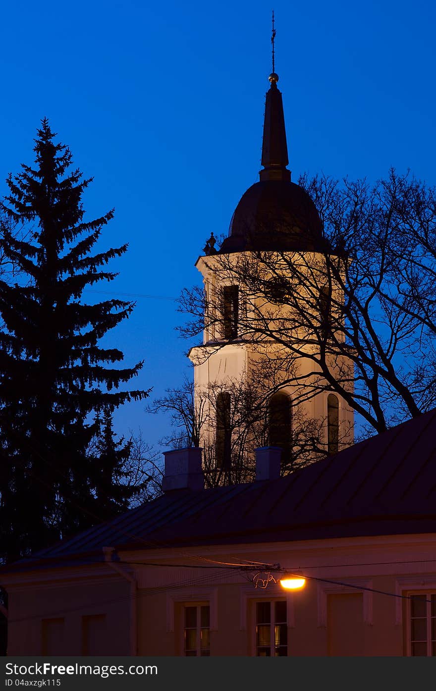 Vilnius Cathedral tower at night, vertical