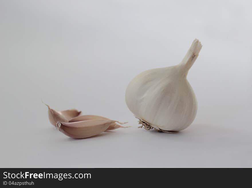 Garlic