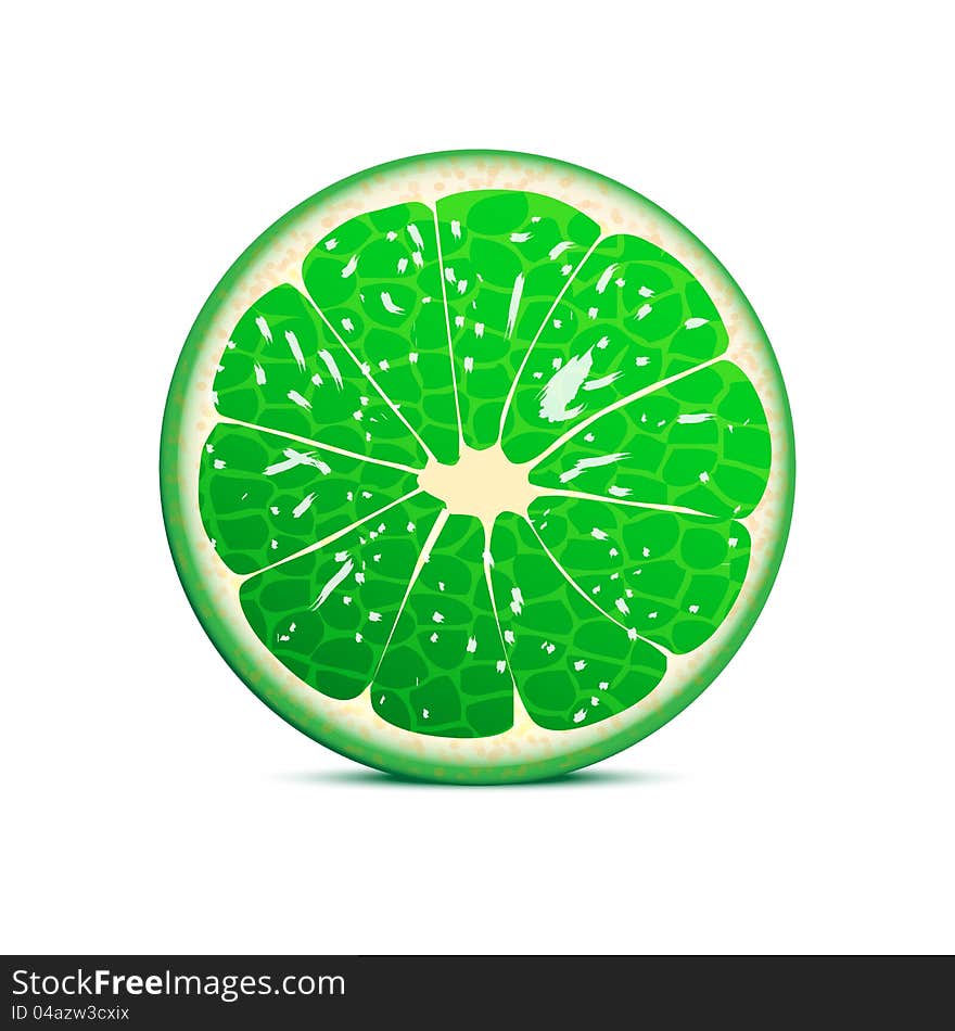 Lime Vector Illustration