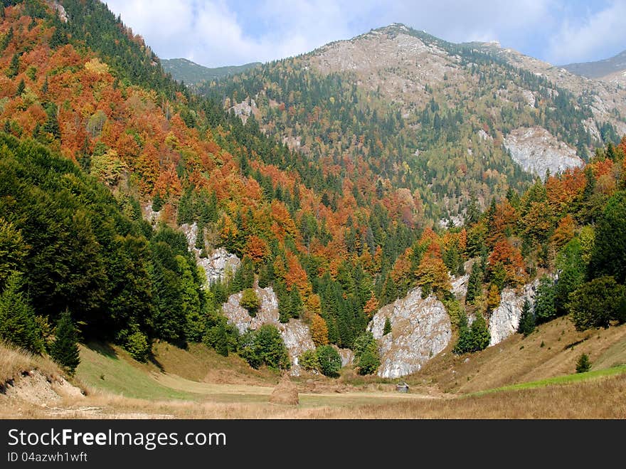 Autumn in Carpathian Mountains