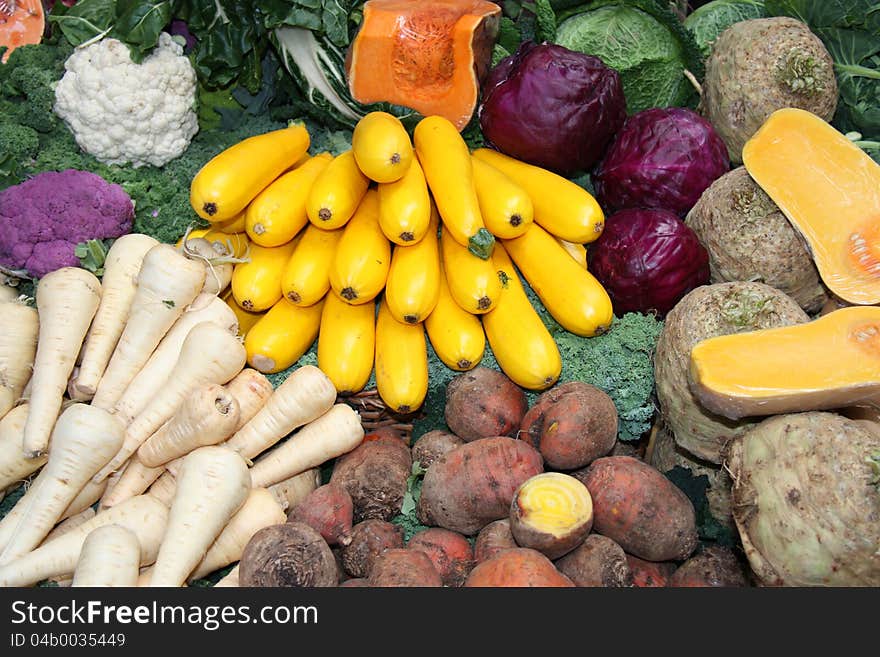 Freshly Picked Vegetables.