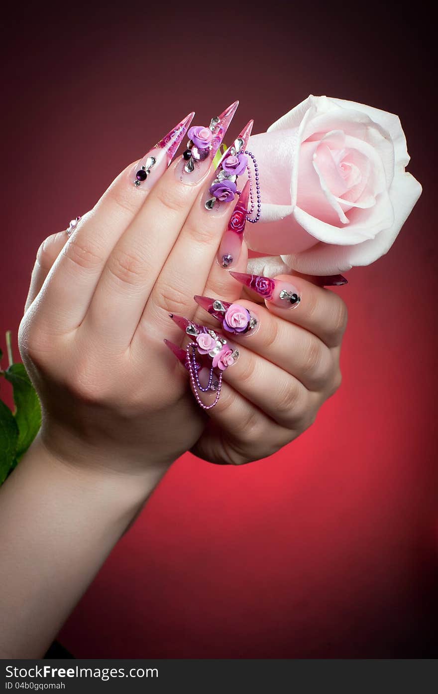 Beautiful manicure of hands with a rose