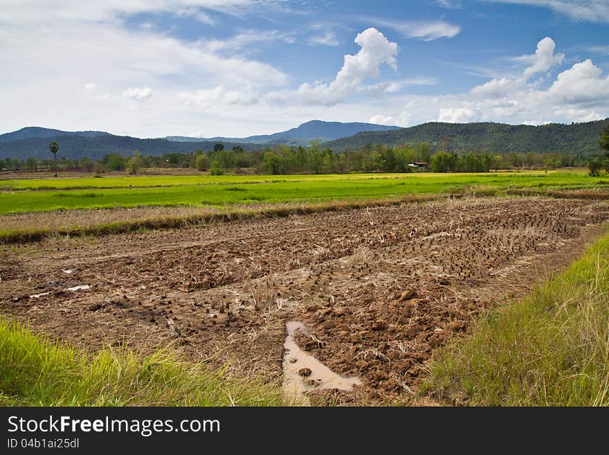 Paddy farmland and mountain in countryside of Thailand