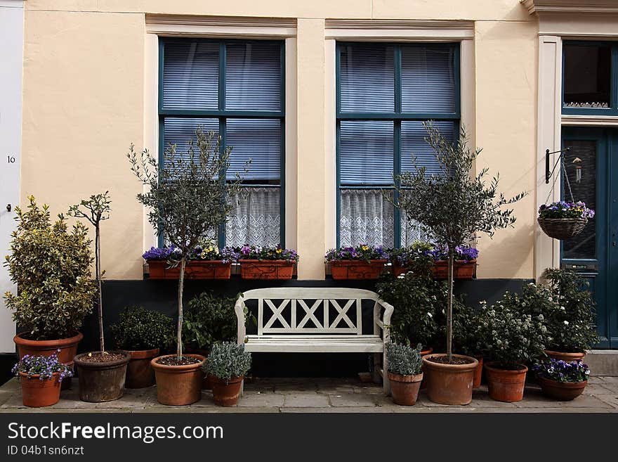 Romantic windows along the street