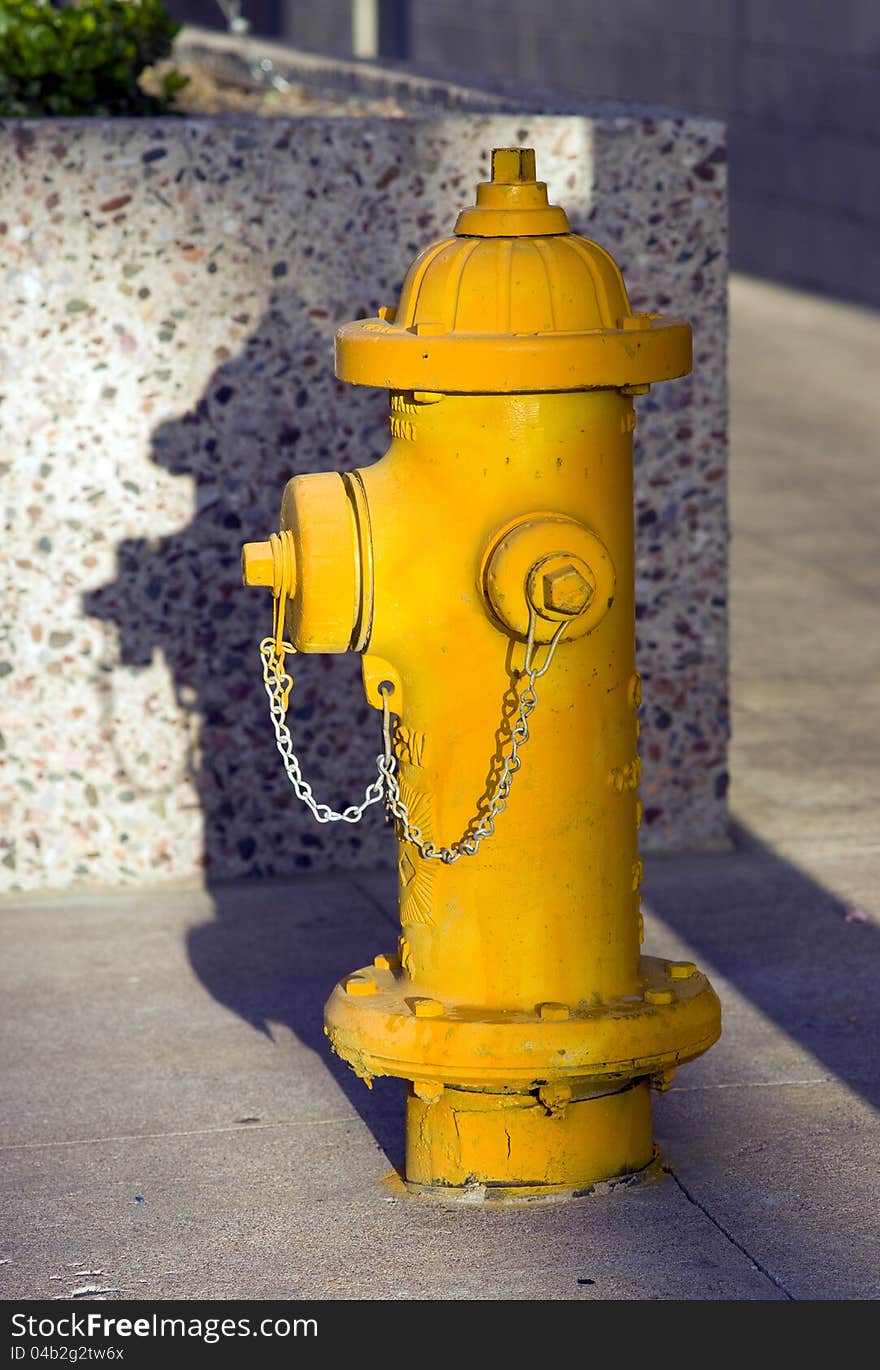 Yellow Fire Hydrant Stands on Concrete Downtown