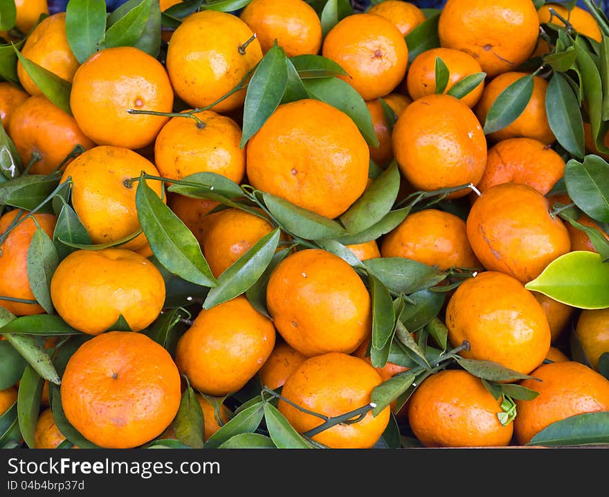 Fresh orange fruit