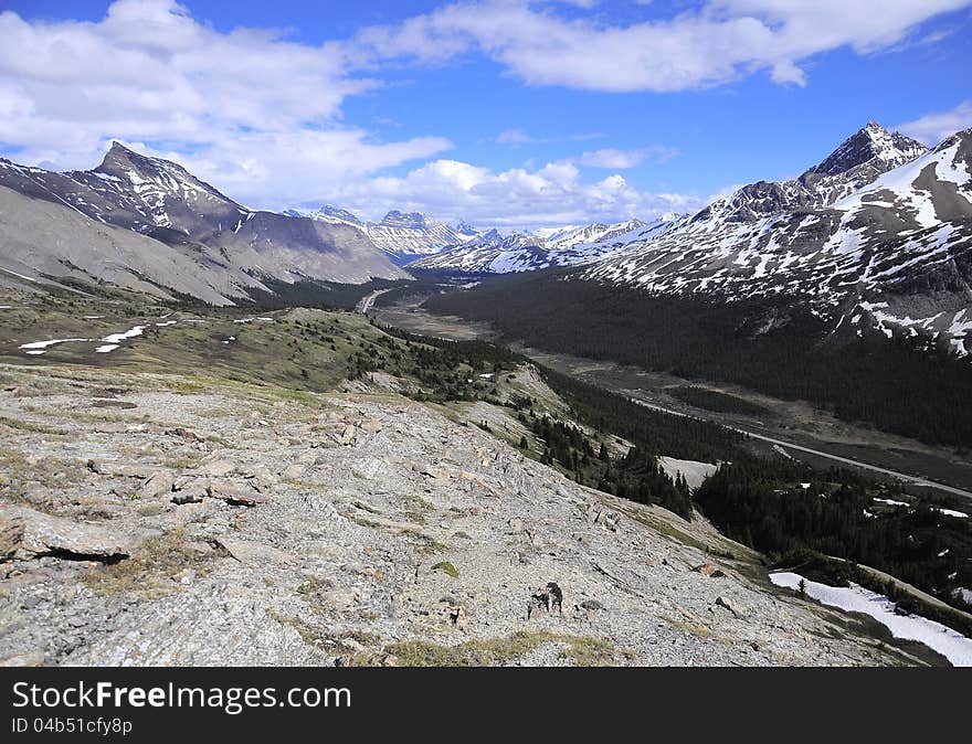 Mountain view from the plateau. Wilcox creek path. Banff National park. Canada. Mountain view from the plateau. Wilcox creek path. Banff National park. Canada.