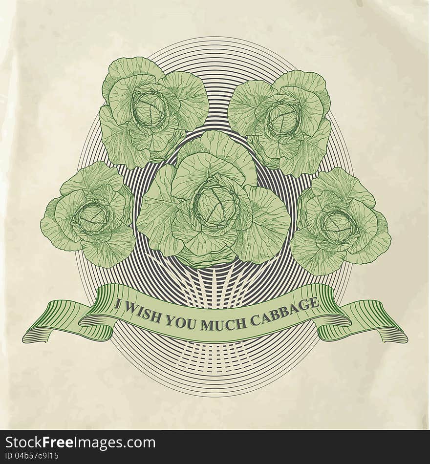 Vector Illustration Of A Bouquet Of Cabbage