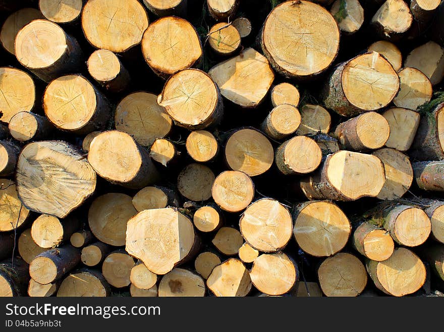 Pile Of Wood Logs