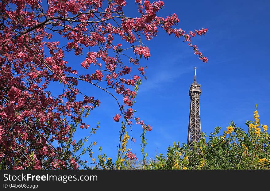 Detail of the top of The Eiffel Tour seen through branches of blossoming tree in spring. Detail of the top of The Eiffel Tour seen through branches of blossoming tree in spring.