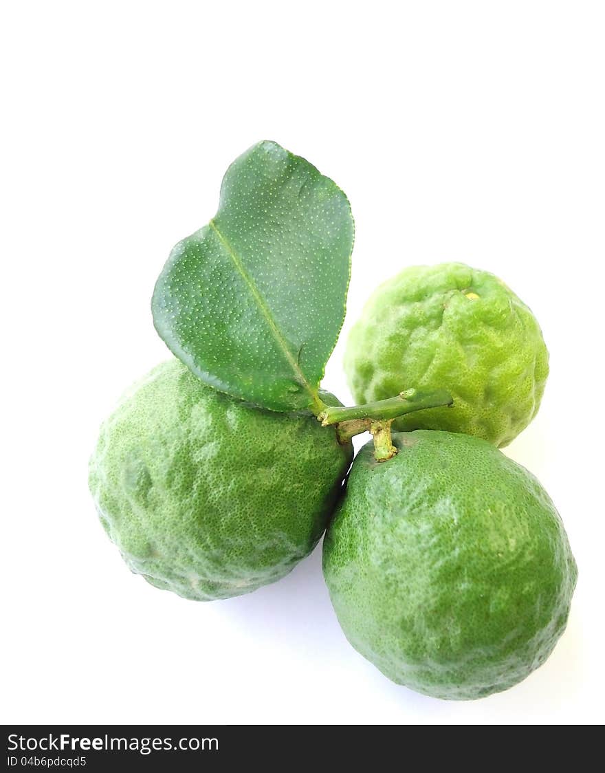 Lime Isolated in White Background