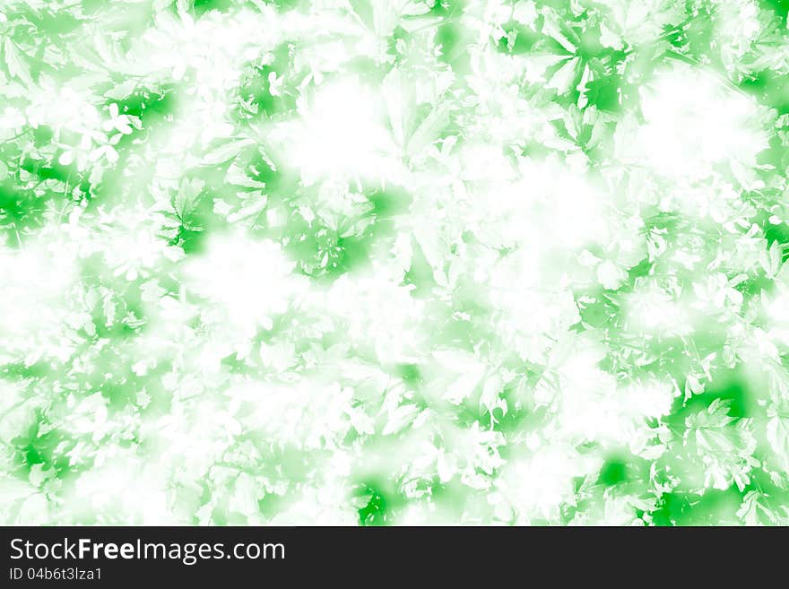 Abstract art background from the leaves and flowers. Abstract art background from the leaves and flowers