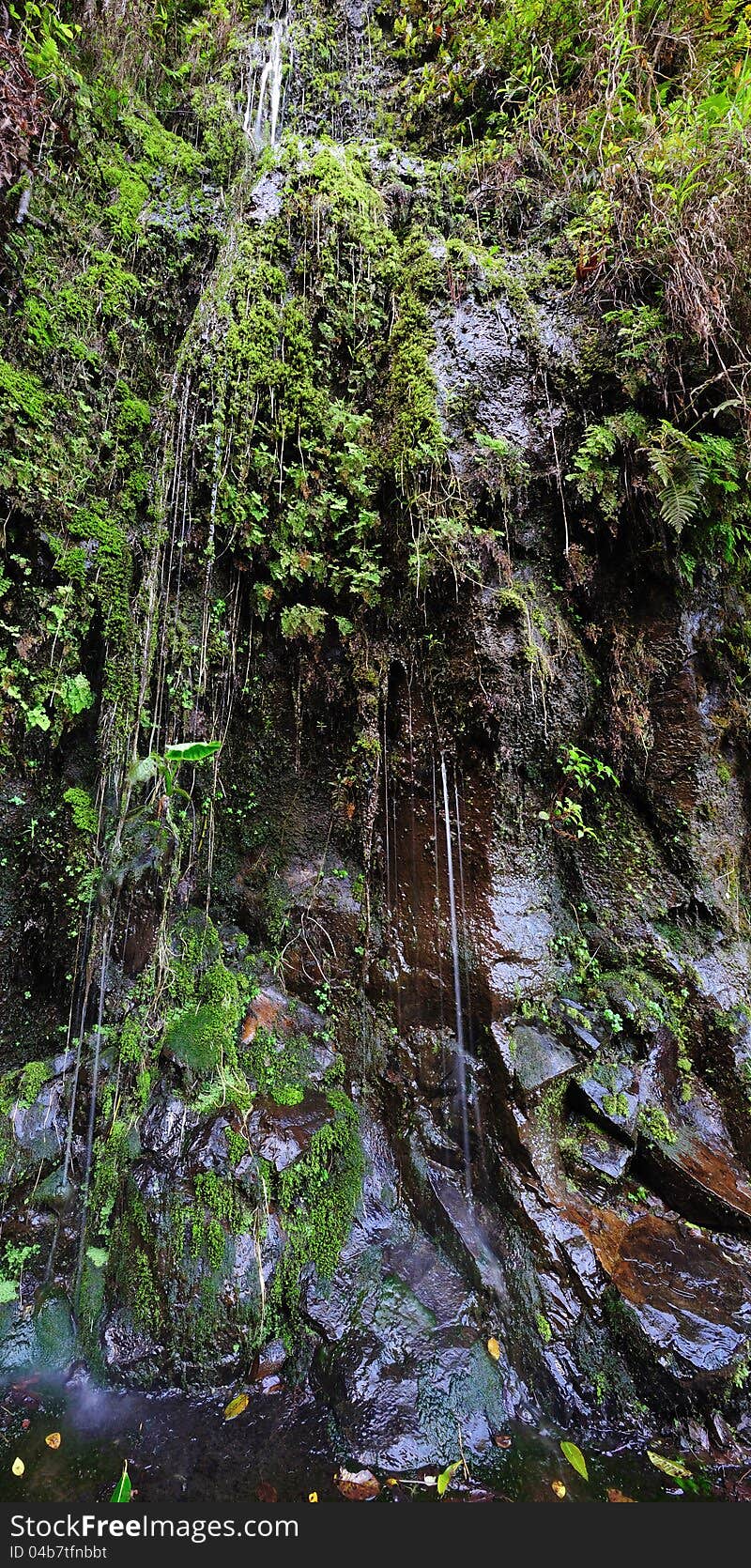 Waterfall on the Road To Hana