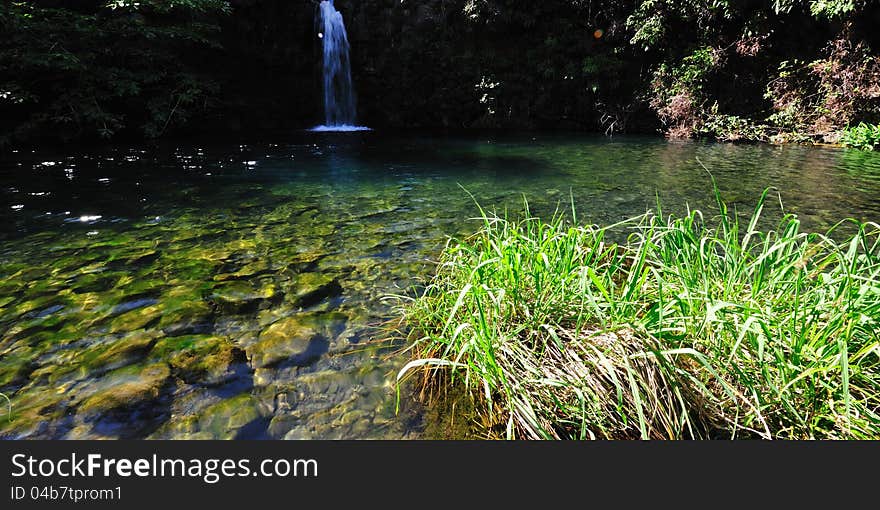 Tropical Lagoon & Waterfall