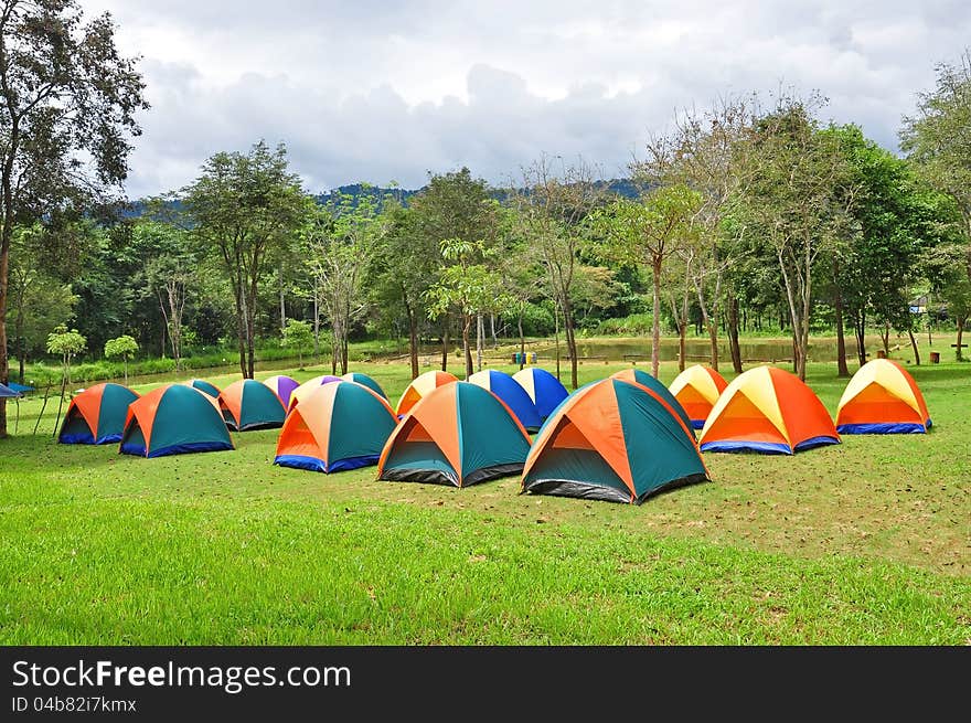 Rows of colorful tent, forest campsite