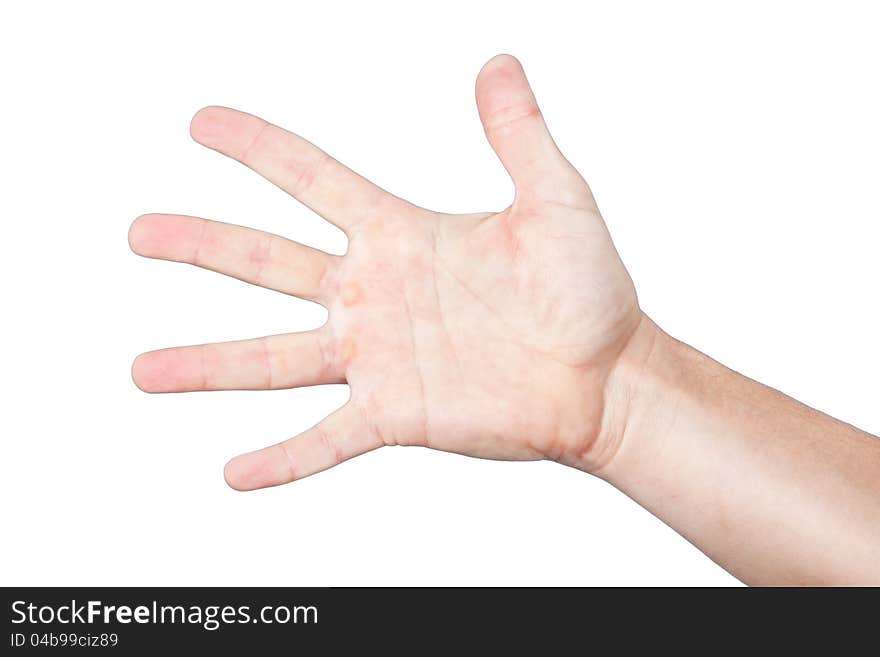 Men's palm, hand, arm. On a white background. Men's palm, hand, arm. On a white background.