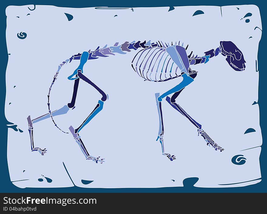 Side view of cat skeleton- blue bones with blue background