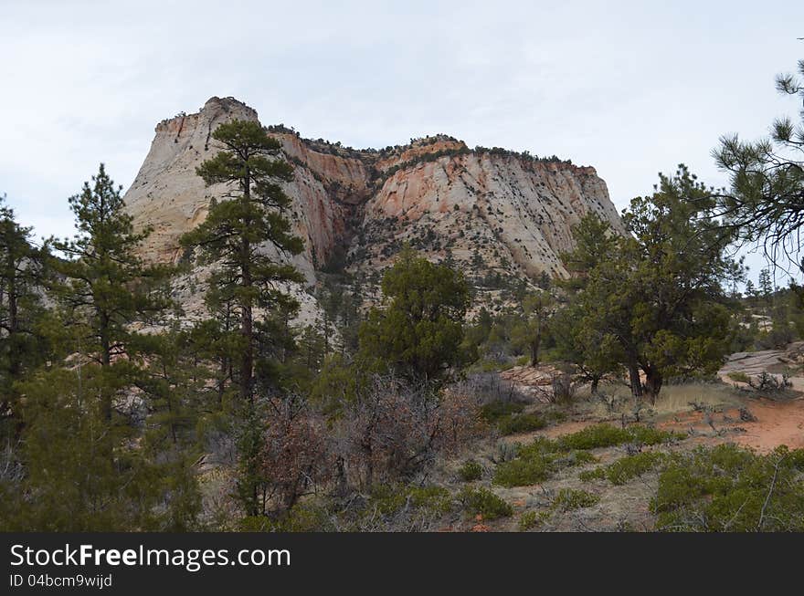 Flat Topped Zion Monolith