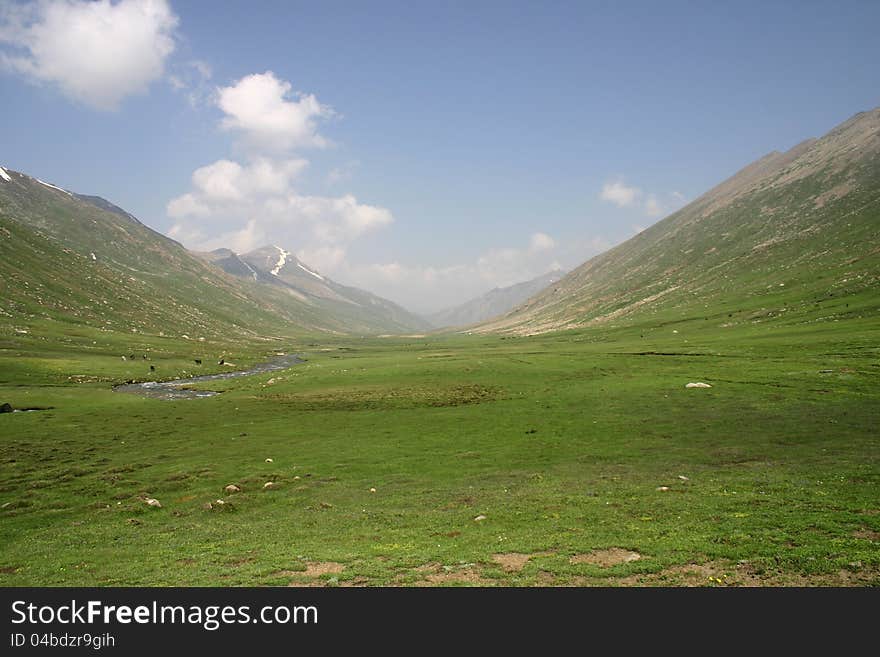 Meadows in the way to Dudipatsir lake, at Mullah-ke-besti. Meadows in the way to Dudipatsir lake, at Mullah-ke-besti