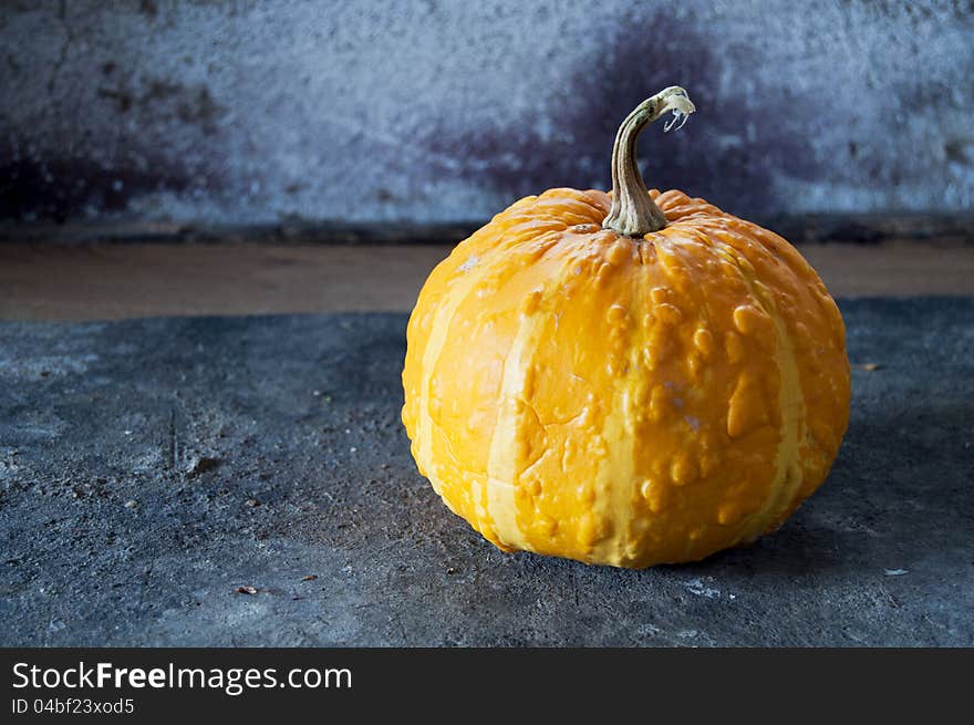 Yellow squash in front of concrete wall.