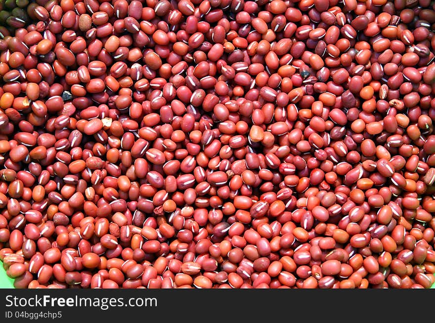 Red Bean Adzuki - Vigna Angularis. Red Bean Adzuki - Vigna Angularis