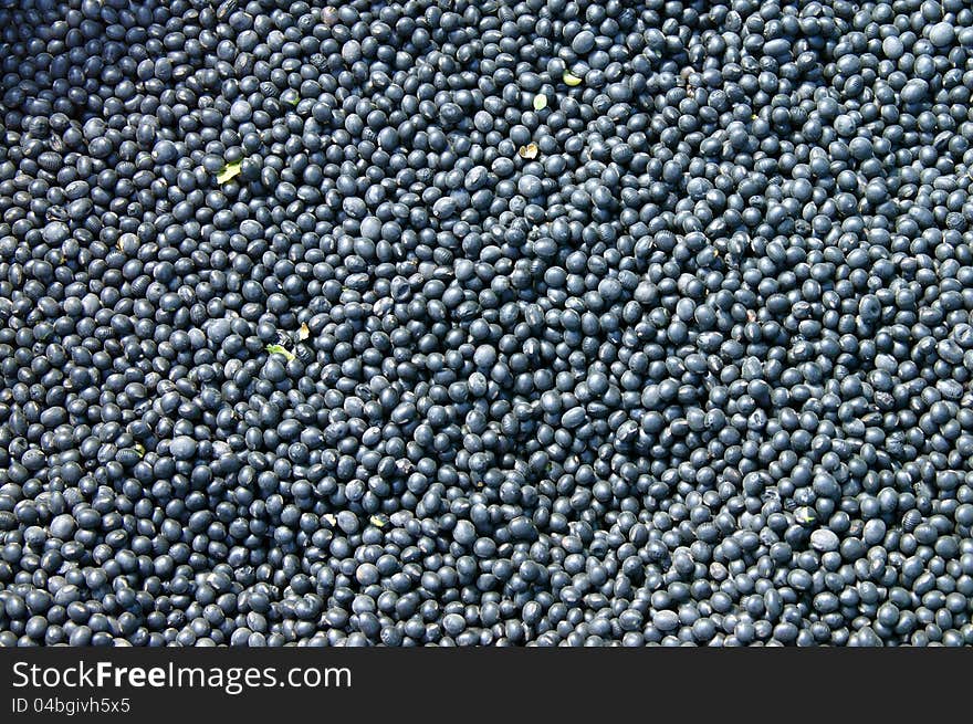 Texture of small black beans. Image of raw food