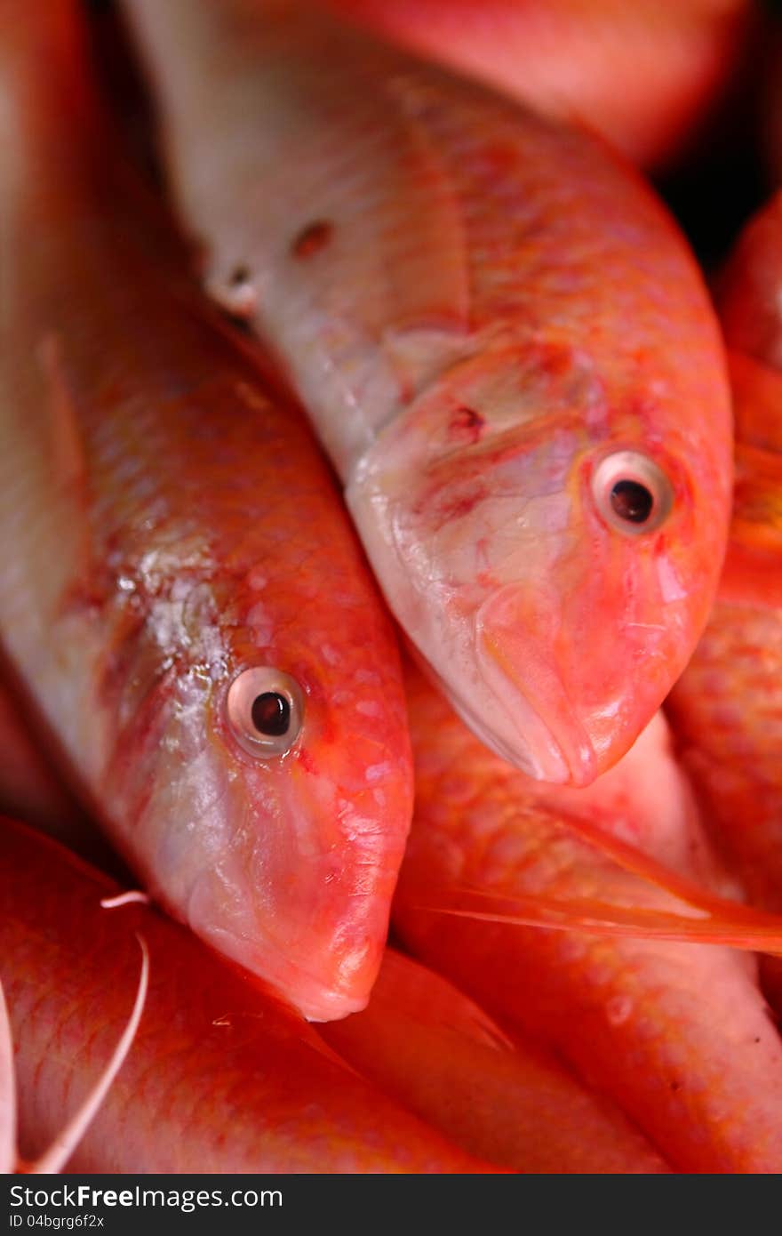 Photo of Red Snapper on a wet market. Photo of Red Snapper on a wet market