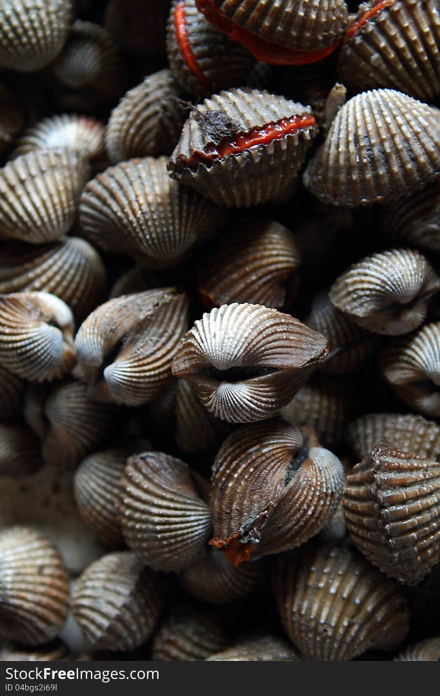 Bunch of Clam, usually seen on the wet markets in Asia. Bunch of Clam, usually seen on the wet markets in Asia