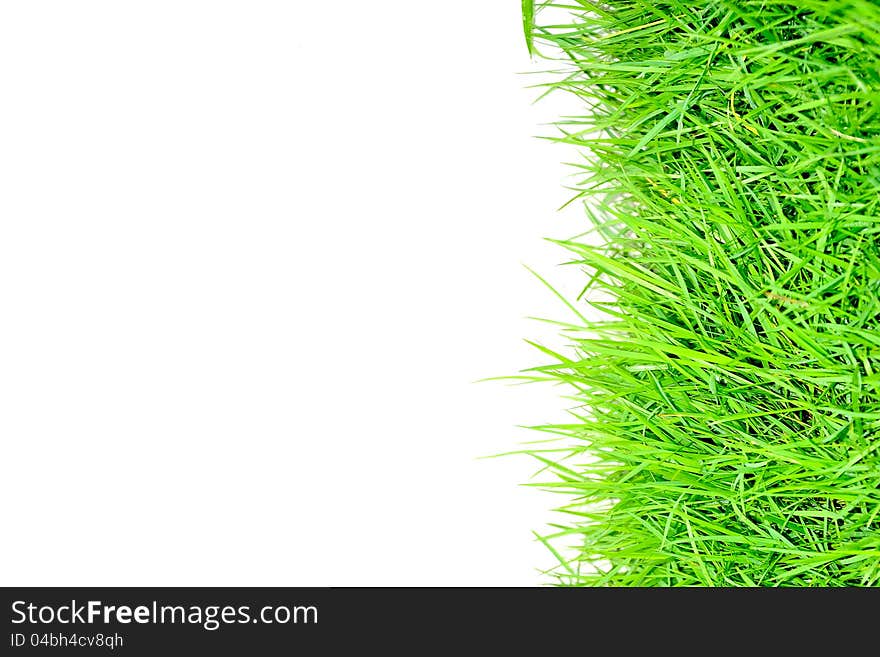 Grass and white background