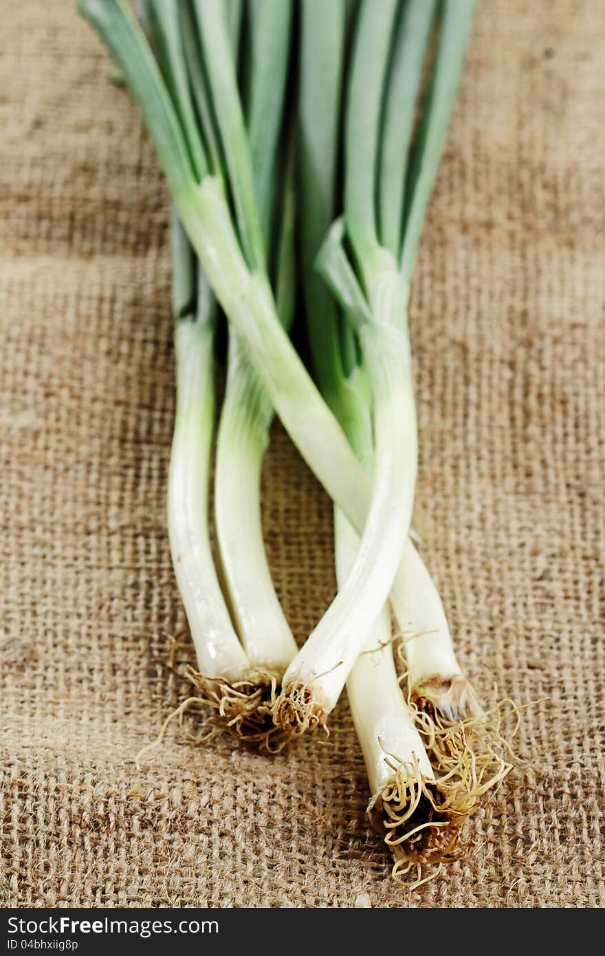 Fresh spring onion prepared as cooking ingredient