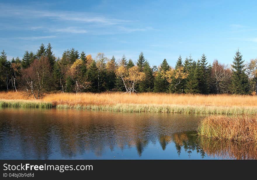 Autumn Colors At Black Pond