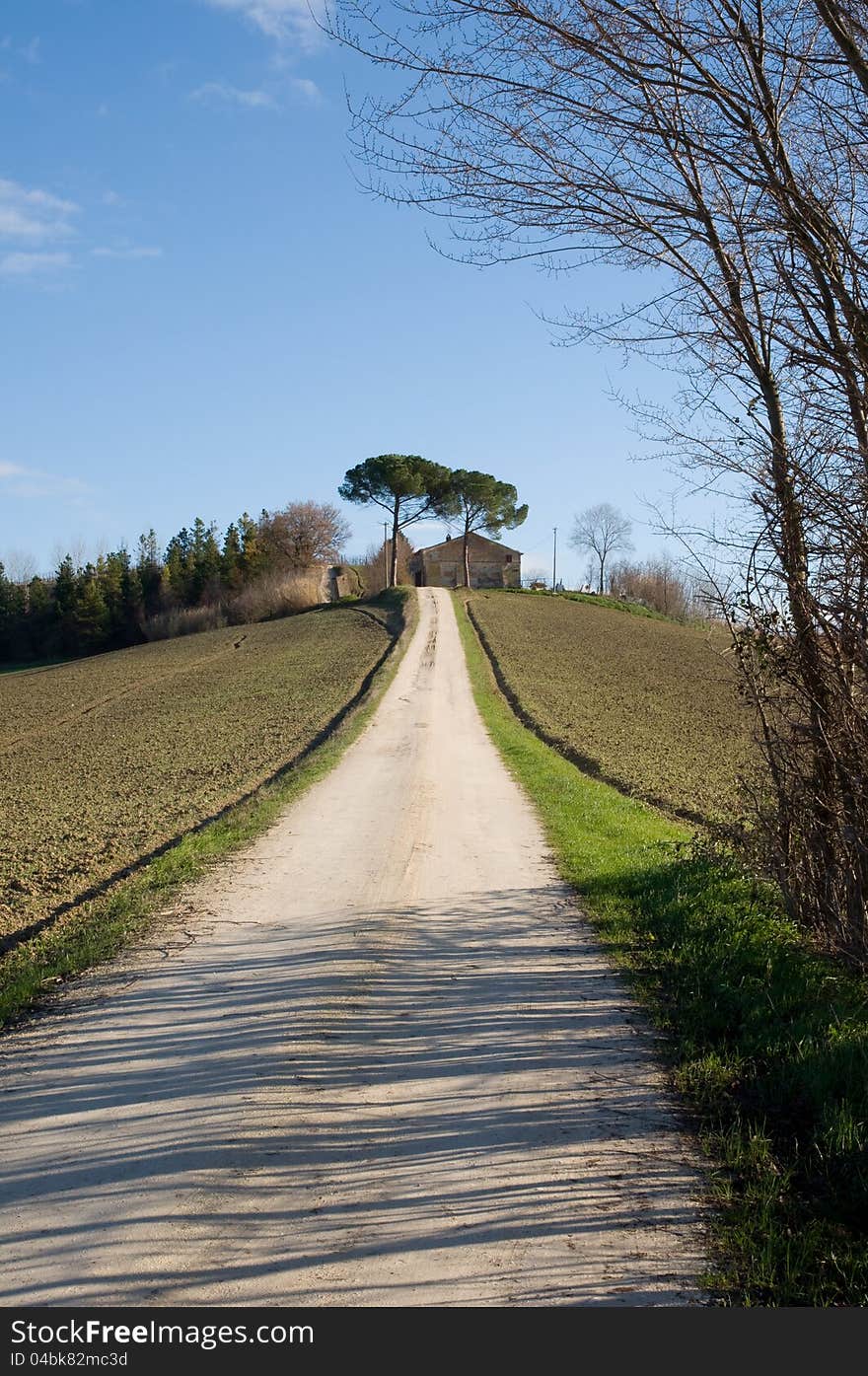 Farm In Val Of Recanati, Italy