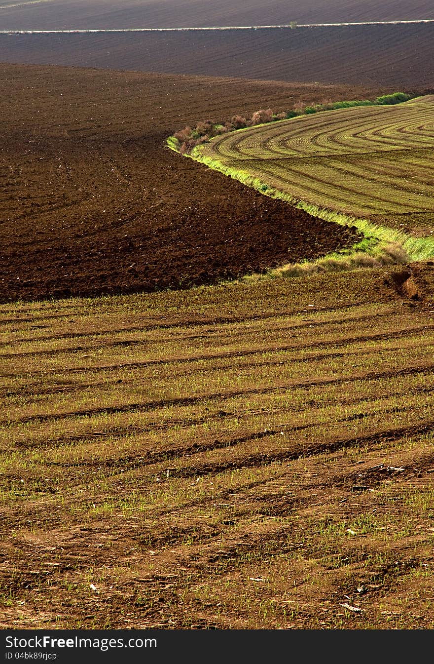 Typical landscape in val of Recanati. Region Marche, Italy. Typical landscape in val of Recanati. Region Marche, Italy