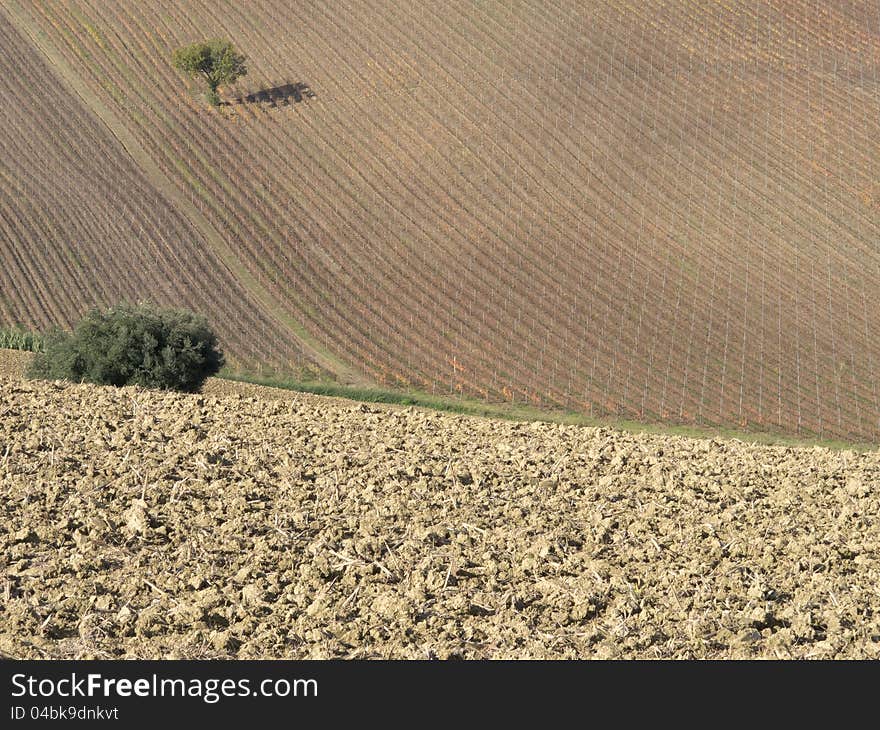 Farm In Val Of Recanati, Italy