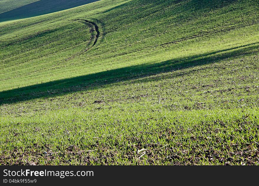 Farm In Val Of Recanati, Italy