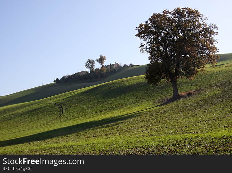 Farm in val of Recanati, Italy