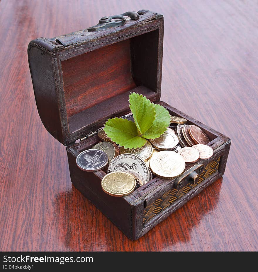 Treasure with shoot on wood background. Treasure with shoot on wood background