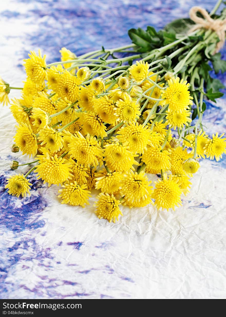 Yellow small spring flowers on a blue paper background. Yellow small spring flowers on a blue paper background