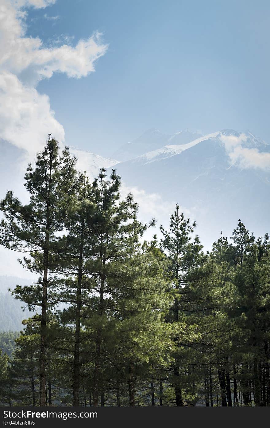 Annapurna view in Himalaya mountains with green forest, Nepal