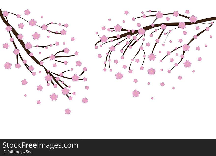 Illustration of a Cherry blossom in spring time