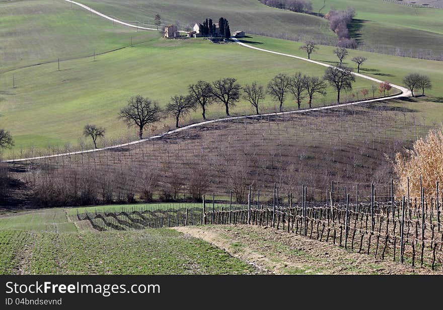 Farm In Val Of Recanati, Italy