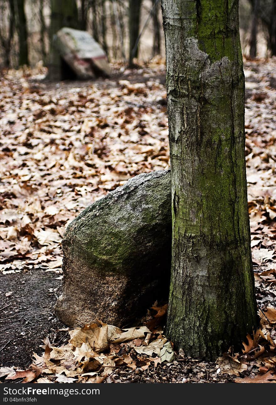 Tombstones at Jewish cemetery