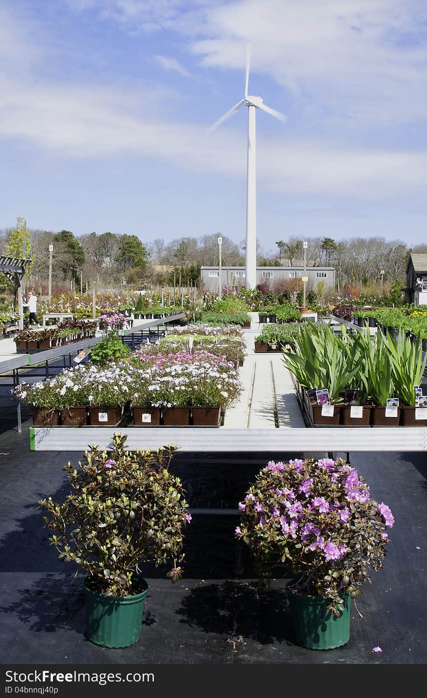 A flower nursery uses a wind driven turbine to produce 80% of its power needs. A flower nursery uses a wind driven turbine to produce 80% of its power needs