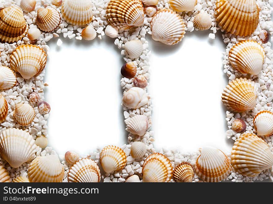 Frame for your photos. shells on white background