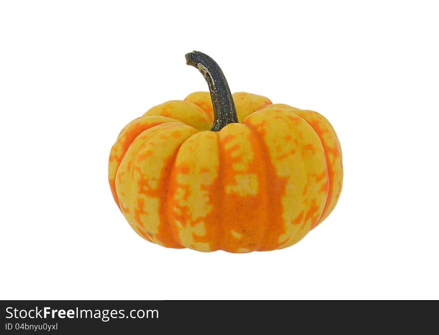 Large orange and yellow pumpkin isolated on white background