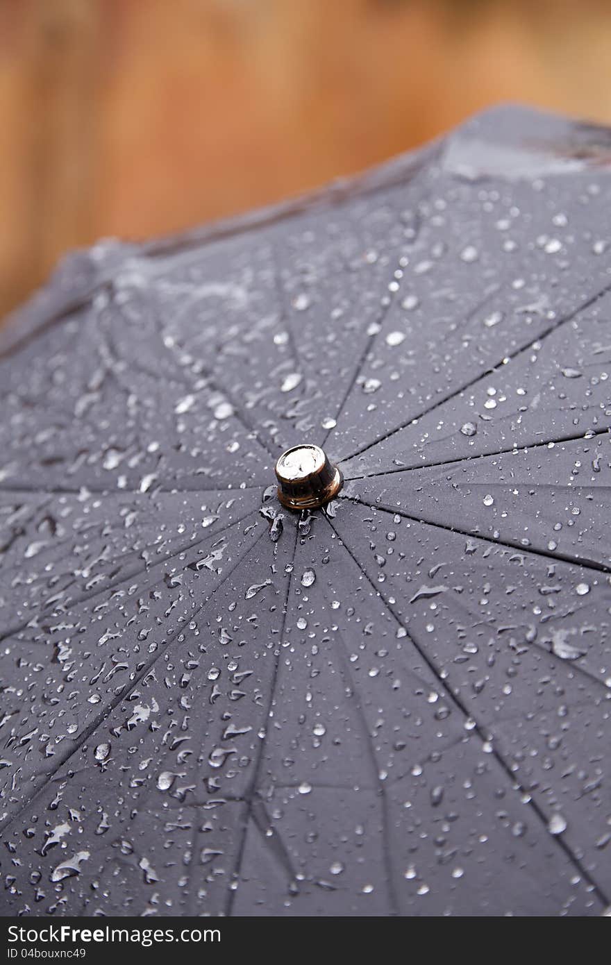 Wet Umbrella